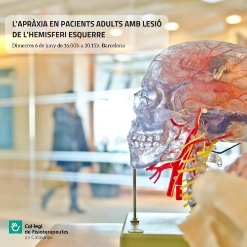 Seminario en Barcelona sobre la apraxia en pacientes adultos con lesión del hemisferio izquierdo